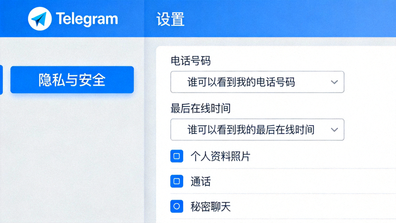Telegram电脑版隐私与安全设置界面详细截图，展示电话号码、最后在线时间等选项